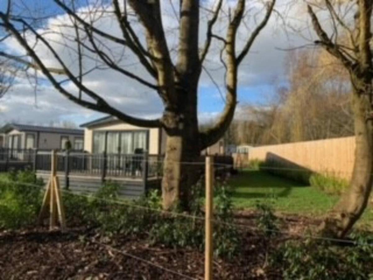 Captivating Bluebell Lodge 2-Bed Cotswolds Caravan Сайърънсестър Екстериор снимка